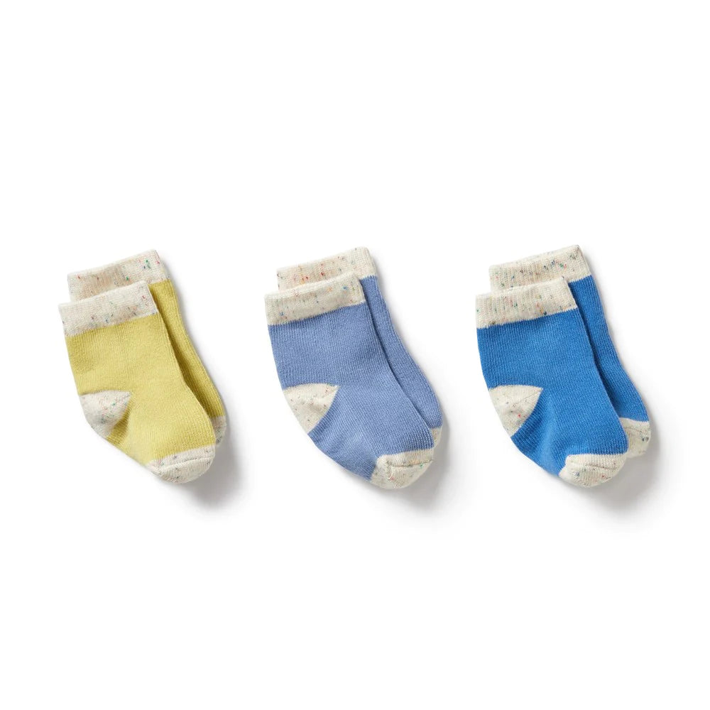 Wilson & Frenchy | Endive, Bluebell, Blue - 3PK BABY SOCKS