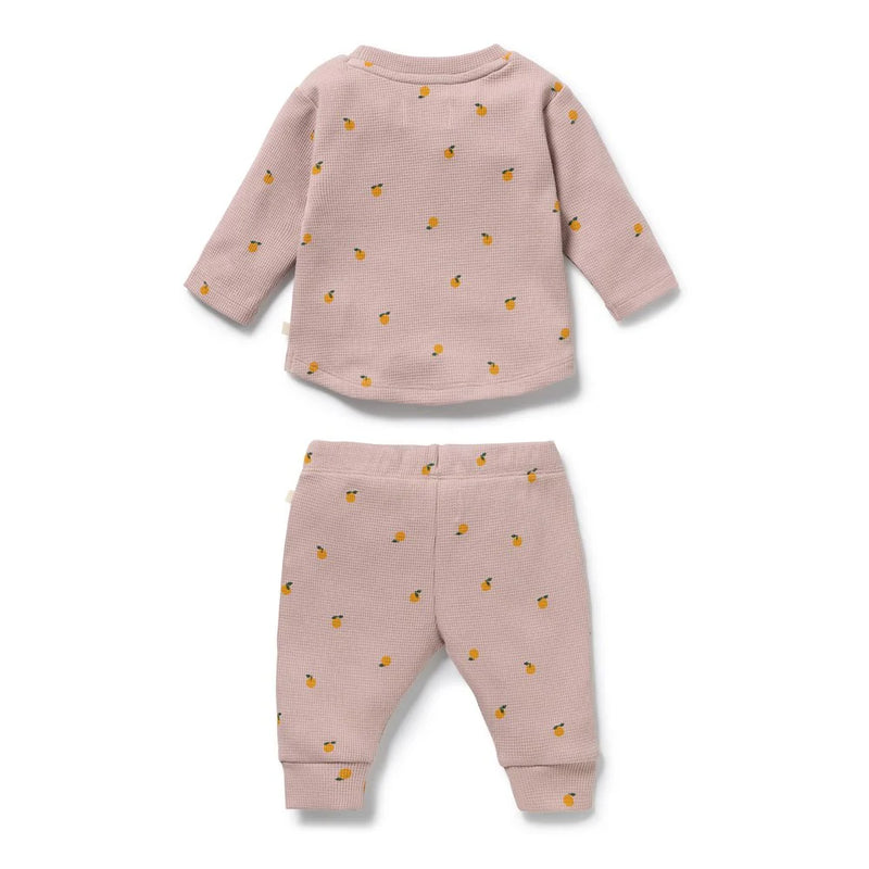 Wilson + Frenchy | Mini Mando Organic Waffle Set