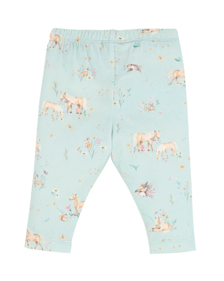 Bebe | Winnie Organic Leggings