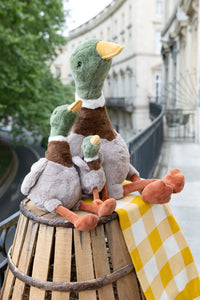 Nana Huchy | The Mallard Duck