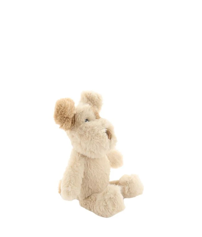 Nana Huchy | Buddy The Dog