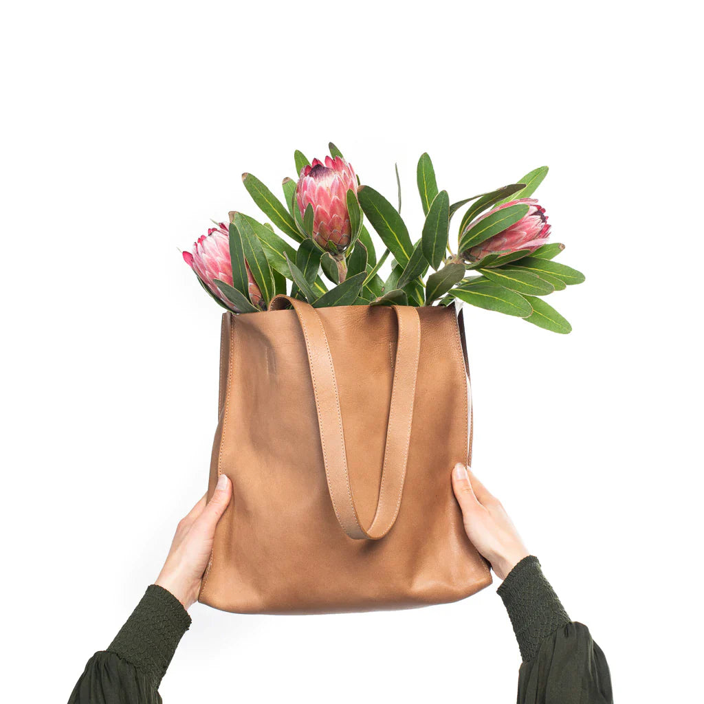 Dusky Robin | Catie Tote