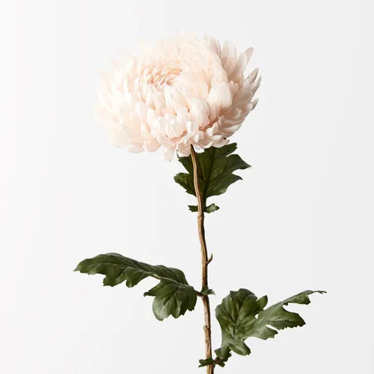 Chrysanthemum - Cream 76cm