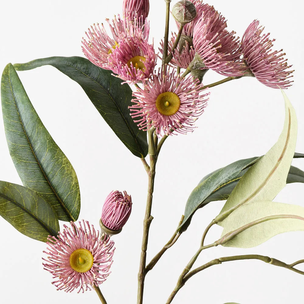 Eucalyptus Flowering Spray - Light Pink