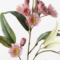 Eucalyptus Flowering Spray - Light Pink