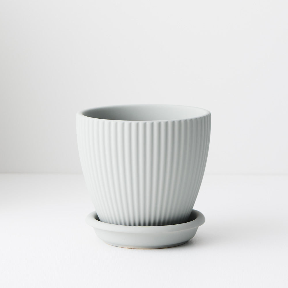 Johanna Pot w/saucer