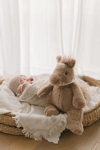 Nana Huchy | Harvey the Horse