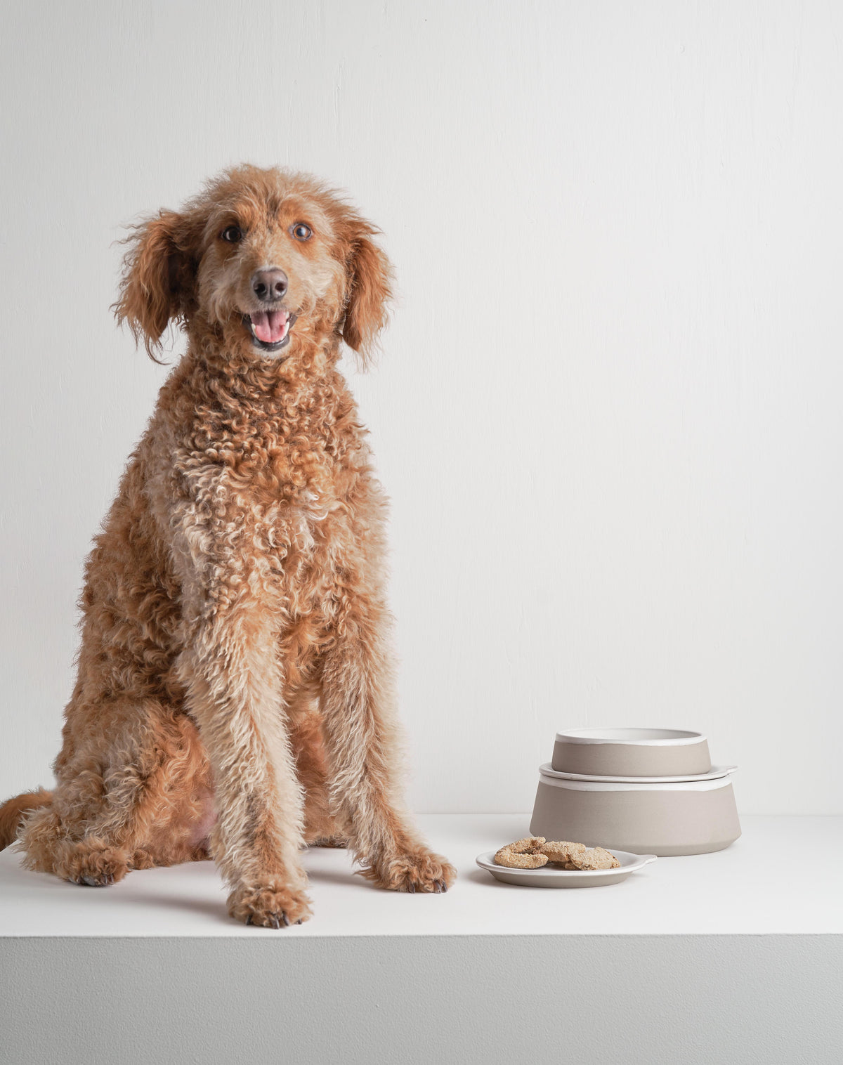 Robert Gordon | Bowl with Lid - Furry Friends