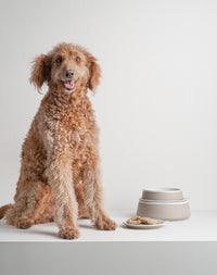 Robert Gordon | Bowl with Lid - Furry Friends