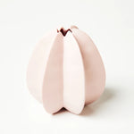 Jones & Co | Starfruit Vase - Pink