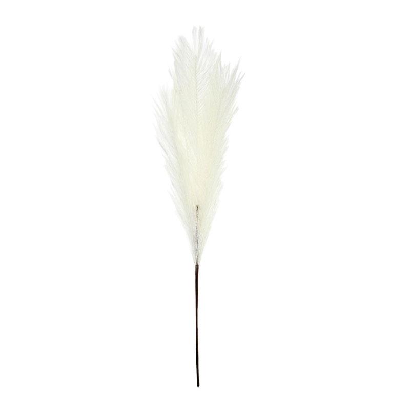 Coast to Coast | 70cm Faux Pampas Grass