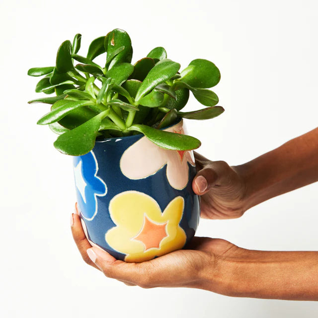 Jones & Co | Sunday Pot Navy Floral
