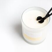 Palm Beach Collection | Wick Trimmer
