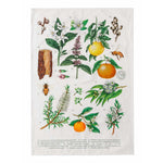 KOALA ECO | Terra Botanica Tea Towel